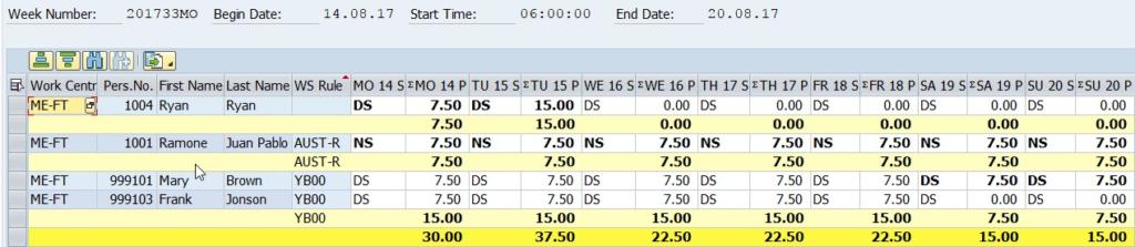 Manning Solution for SAP ® - PM Eleven